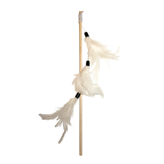 World of pets natural feather cat toy