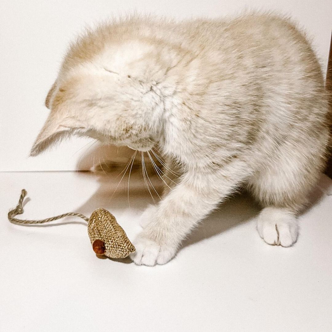 World of Pets Silver Vine & Hessian Natural Mouse Toys